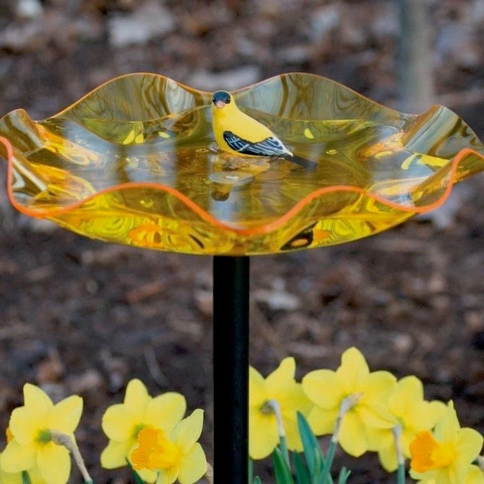 Birds Choice Staked & Pedestal Bird Baths Acrylic Bird Bath On Pole