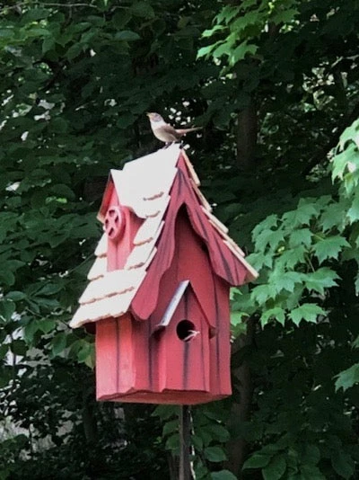 Heartwood Boyds Bungalow Cypress Birdhouse Unique Birdhouses