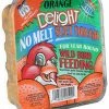 C&S No Melt Orange Dough Suet Cake Specialty Foods & Mealworms