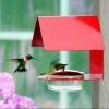 Couronne Hummingbird Feeders Cottage Hummingbird Feeder
