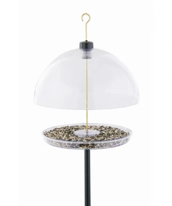 Droll Yankees Unique Bird Feeders Dorothy’s Cardinal Bird Feeder