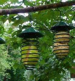 Esschert Design Unique Bird Feeders Spring Feeders And Nester