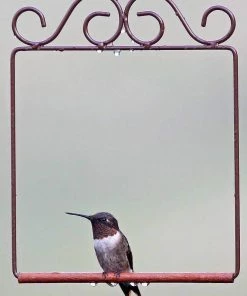 Hummingbird Feeders Pop's Hummingbird Swing