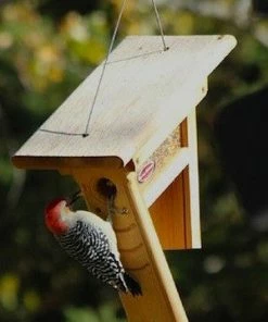 Kettle Moraine Clinger Woodpecker And Peanut Feeder