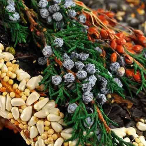 Mr. Bird Birdies Bed & Breakfast Chalet Unique Birdhouses