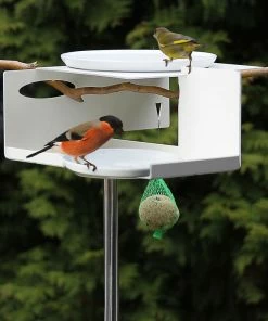 Opossum Design Mod Bird Bath/Feeder On Pole