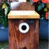The Birdhouse Chick Unique Birdhouses Traditional Nest Box