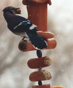 Amaranth Stoneware Unique Bird Feeders Hand Crafted Suet Feeder & More