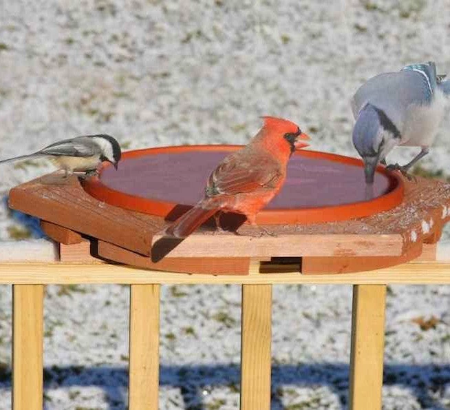 Songbird Essentials Deck & Ground Bird Baths Cedar Heated Deck Mount Bird Bath