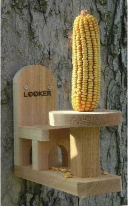 Songbird Essentials Table And Chair Squirrel Feeder-2