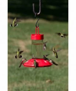 Songbird Essentials Dr. JB's Clean Hummingbird Feeder & Hummer Helmet
