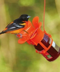 Songbird Essentials Flower Jelly & Jam Feeder