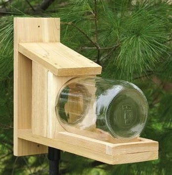 Songbird Essentials Songbird Cedar Squirrel Jar Feeder