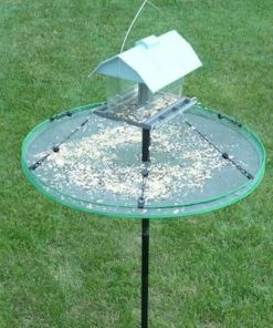 Songbird Essentials SeedHoop-Seed Catcher Adjustable Seed Tray 30-inch