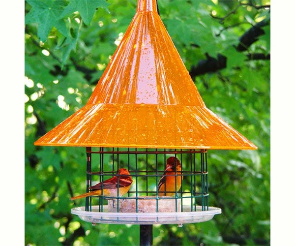 Arundale Sky Cafe Oriole Feeder Fruit, Jelly & Mealworm Feeders