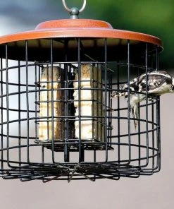 Hiatt Manufacturing Suet Feeders Squirrel Proof Double Suet Feeder