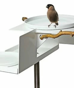 Opossum Design Mod Bird Bath/Feeder On Pole