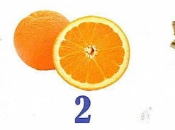 Songbird Essentials Birdie Bell Nester And Feeder Nesting Materials & Roosts