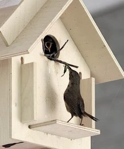 Box For Birds Birdhouse Kit- Original