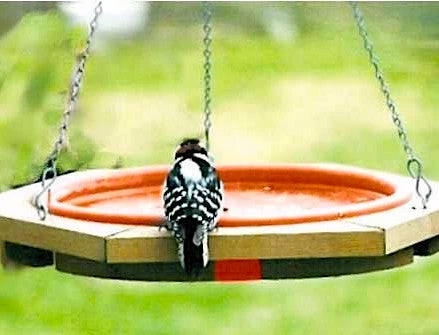 Looker Classic Hanging Wood Bird Bath