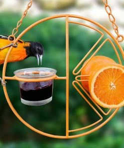 Heath Clementine Oriole Feeder