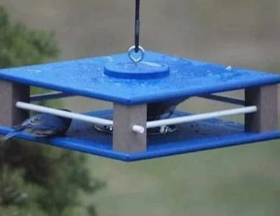 The Birdhouse Chick Recycled Birdhouses Gilbertson Hanging Bluebird Feeder