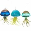 Kinsman Garden Company Jellyfish Air Plant Hangers Set/3