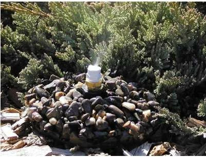 Birds Choice Leaf Mister On Base BirdBath Fountains, Misters & Wigglers