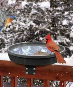 Songbird Essentials Songbird Spa Heated Deck-Mount Bird Bath