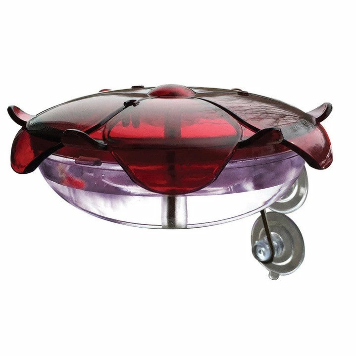 Droll Yankees Hummingbird Feeders Window Mount Hummingbird Feeder