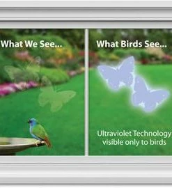 Shock Logistics Window Alert Decals- Prevent Bird Strikes